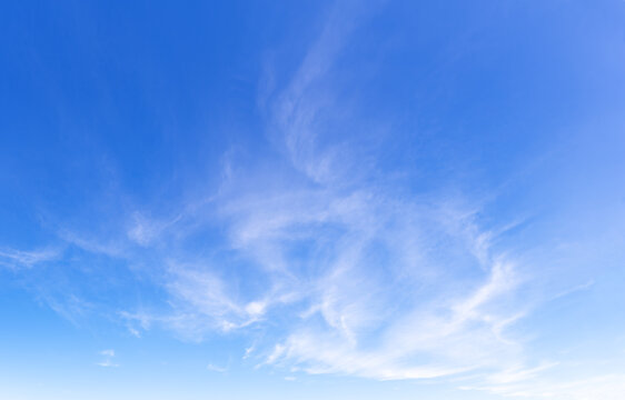 Blue sky and light thin clouds. Feather clouds.