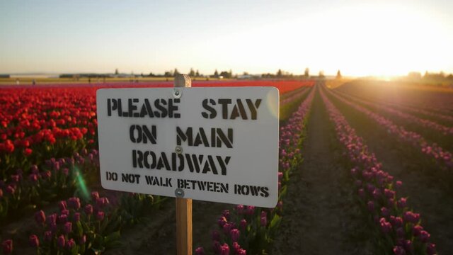 Warning sign at tulip field to stay out of the flowers