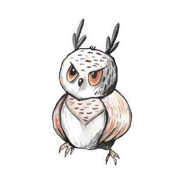 owl on a white background. watercolor vector. eps © bleskk