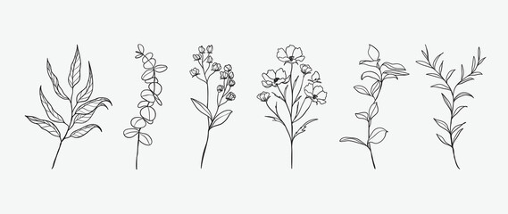 Minimal botanical hand drawing design for logo and wedding invitation. Floral line art.  Flower and leaves design collection for bouquets decoration, card and packaging background.