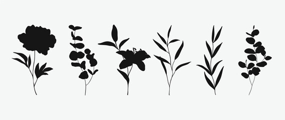 Minimal botanical hand drawing design for logo and wedding invitation. Floral line art.  Flower and leaves design collection for bouquets decoration, card and packaging background.