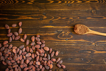 Cocoa beans and cocoa powder in wooden spoon on old natural wooden background