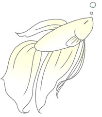 眠たげなベタ（白色）
