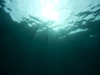 Fototapeta na wymiar 伊豆の海でダイビング中に水中から眺めた太陽の光でキラキラ綺麗な水面