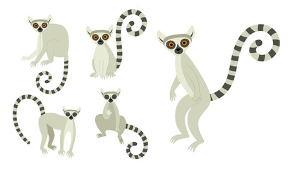 A set of lemurs in different poses. Exotic cute animals of madagascar and africa. Vector illustration in flat style
