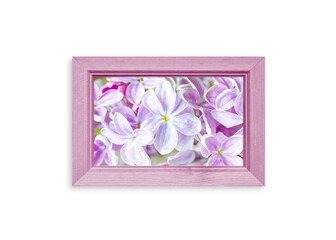 Photo frame with beautiful lilac flowers picture isolated on white, soft lilac color design	