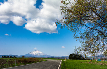羊蹄山を遠望する風景