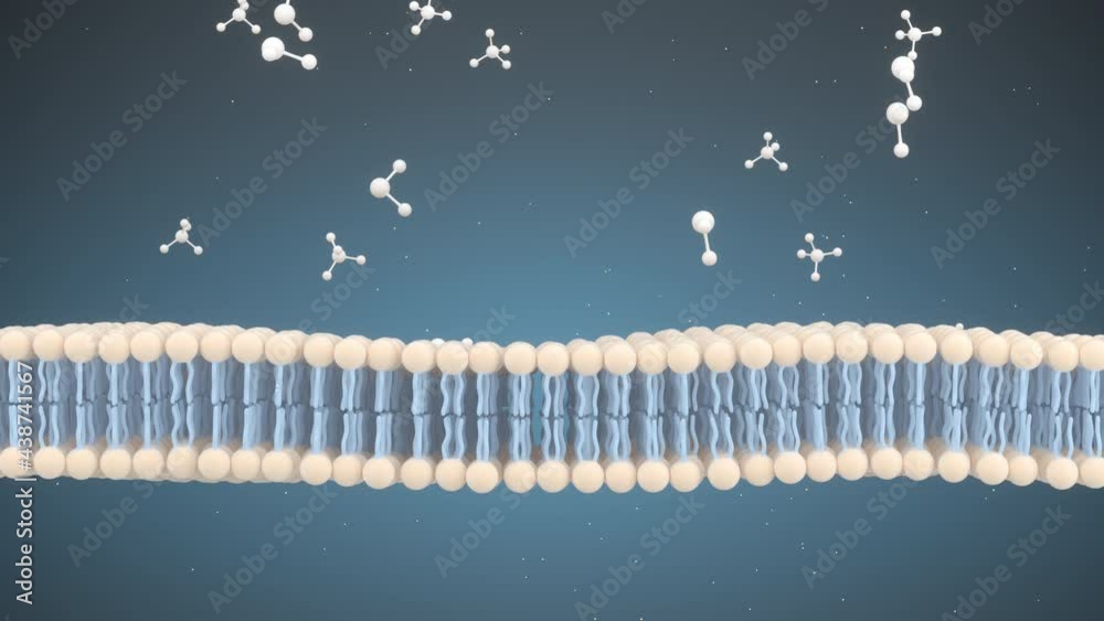 Sticker Cell Membrane and Molecules, 3d rendering.