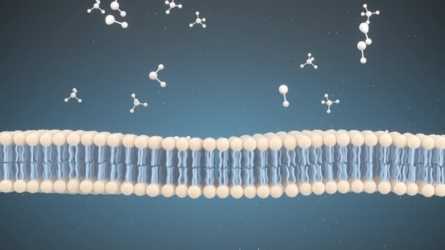 Cell Membrane and Molecules, 3d rendering.
