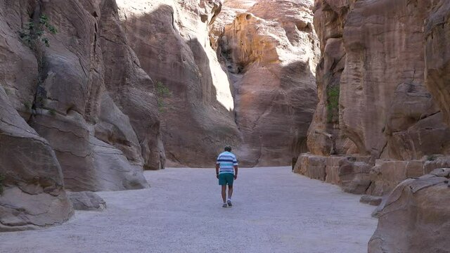 A traveler walks through the canyon of the ancient city of Petra.