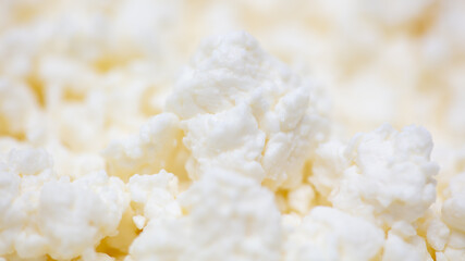 Fresh milk curd as background.
