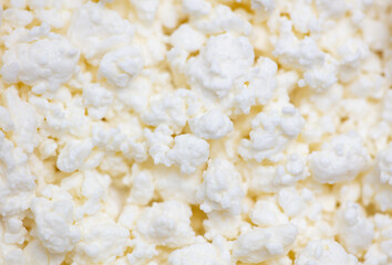 Fresh milk curd as background.