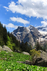 Fototapeta na wymiar Large stone on the background of the Alps mountains