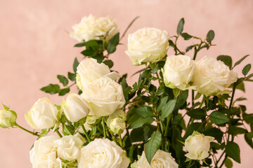 Fototapeta na wymiar Beautiful white rose near color wall, closeup