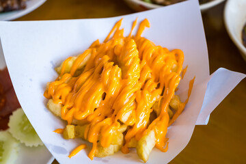 Close up french fries with cheese