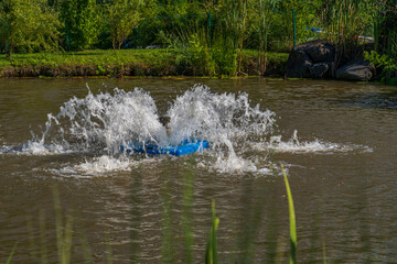 a beautiful park, a forest and a castle