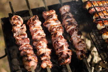 Making barbecue shashlik on wooden coal grill