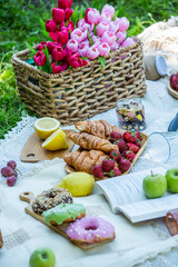 Outdoors picnic in a lush green park with a tasty croissant, fruits, donuts and wine on grass. Summer picnic on the blanket.