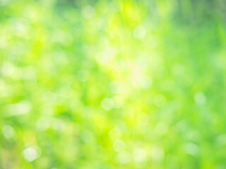 The abstract summer background of the grass with the aquarelle paint effect.