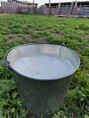 Fresh milk in the bucket