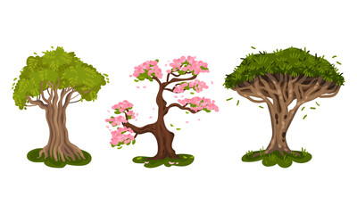 Different Trees as Perennial Plant with Trunk, Branches and Leaves Vector Set