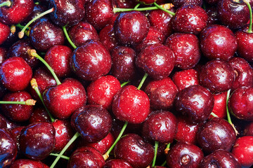 Colorful cherries background