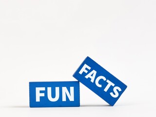 Text fun facts written on blue wooden blocks against white background.