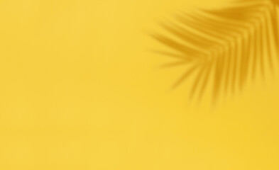 Palm leaf shadow on yellow background
