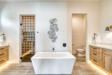 Master bathroom with trendy style