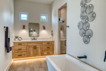 Master bathroom with trendy style