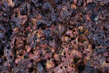Macro lava closeup.