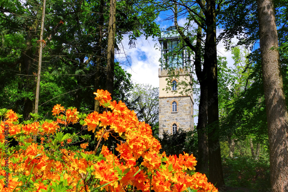 Sticker der Lessingturm auf dem Hutberg während der Blüte des Rhododendron, Kamenz in Sachsen, Deutschland - the tower on mountain Hutberg during the flowering of the rhododendron, Kamenz in Saxony