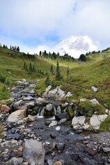 Water Flowing Down in front of Mountain
