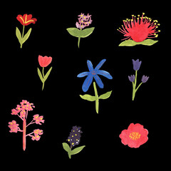 Fototapeta na wymiar Gouache different cute flowers on black background, simple illustration
