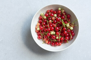 Directly above shot of red currant berries freshly picked in a bowl