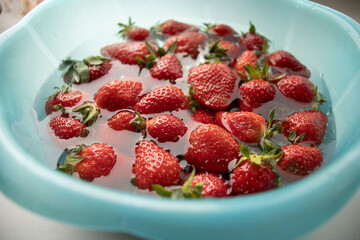 strawberries in a blue plate with water on a light background. Soaking fruits and vegetables in water, carefully processing berries. Strawberry season