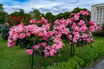 beautiful architecture and landscapes