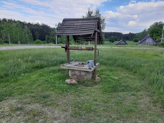 belarusian nature in summertime