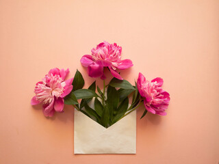 White envelope with pink peonies inside on a pink background. Template for newsletters and other mail designs.