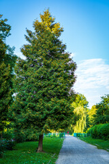 beautiful architecture and landscapes