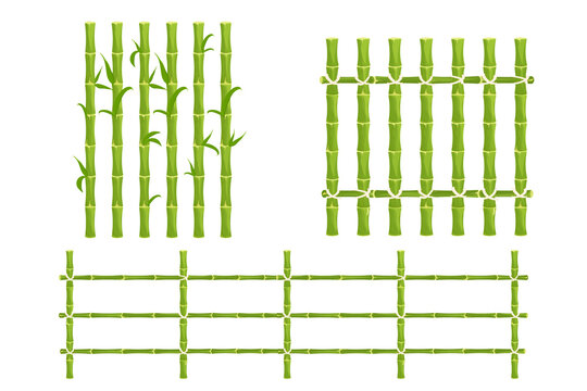 Set green bamboo fence with rope, picket from sticks, nature wall in cartoon style isolated on white background. Natural barrier from sticks, planks. Rustic outdoor protection. Asian, tribal.