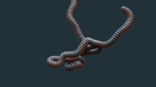 flying worm on dark