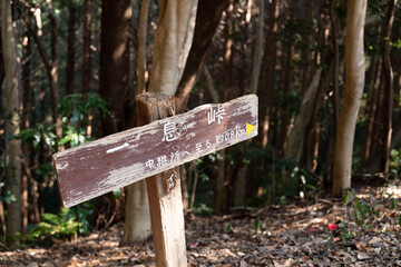 一息峠　ちょっとひと休み
