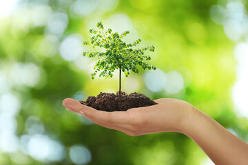 Fototapeta na wymiar Woman holding pile of soil with small tree on blurred green background, closeup. Eco friendly lifestyle