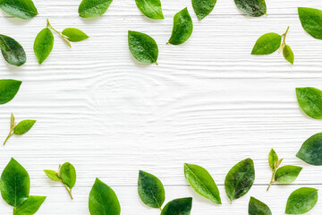 Layout of trees leaf branches. Floral background top view