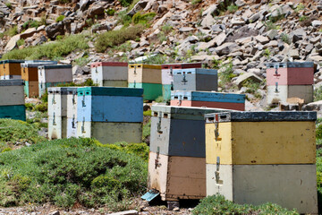 Bunte Bienenst&ouml;cke im Bergland von Kreta