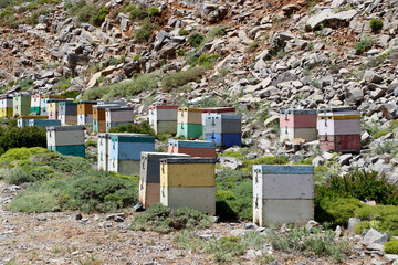Naklejka premium Bunte Bienenstöcke im Bergland von Kreta