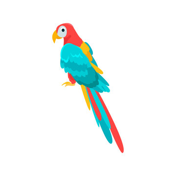 Parrot flat icon. Colored vector element from birds collection. Creative Parrot icon for web design, templates and infographics.