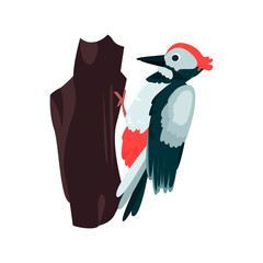 Woodpecker flat icon. Colored vector element from birds collection. Creative Woodpecker icon for web design, templates and infographics.