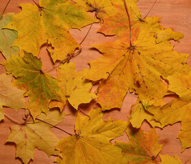 Naklejka na ściany i meble autumn leaves on a wooden background. thanksgiving and greeting card concept. copy space.